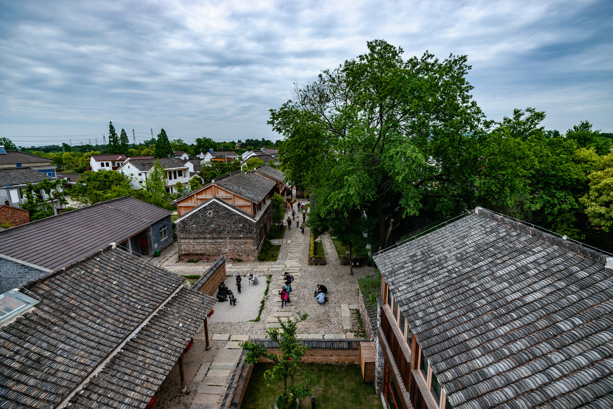 第十六党支部开展主题党日活动——参观红色李巷纪实