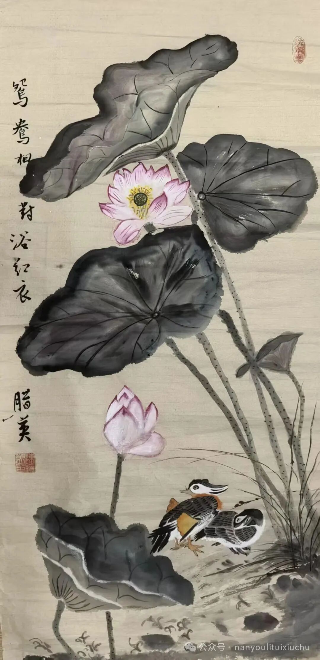 图片